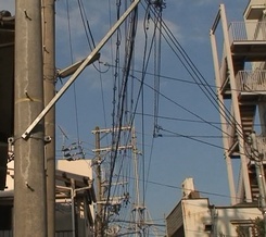 d0083265_1405712.jpg