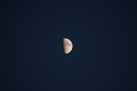 e0045768_2231530.jpg
