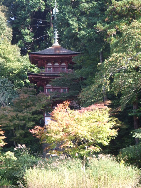 f0144970_1622118.jpg
