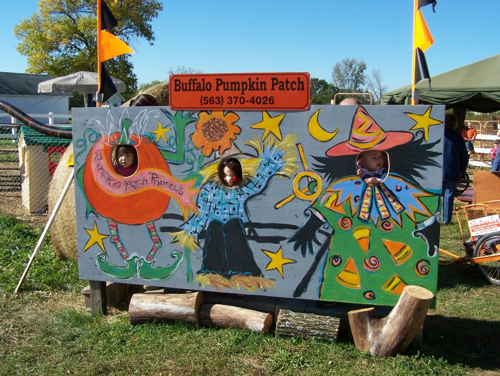 Pumpkin Patch_e0028272_10241997.jpg