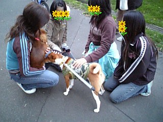 f0131775_1603399.jpg