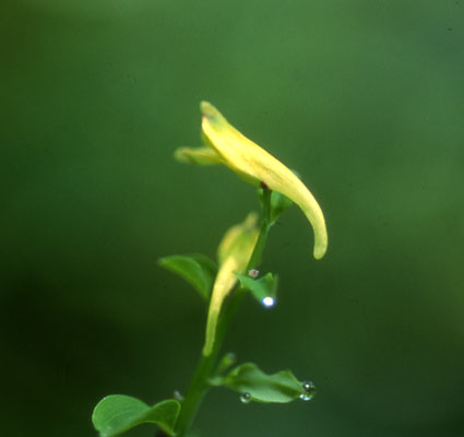 b0057679_7515241.jpg
