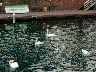 d0052485_22405723.jpg