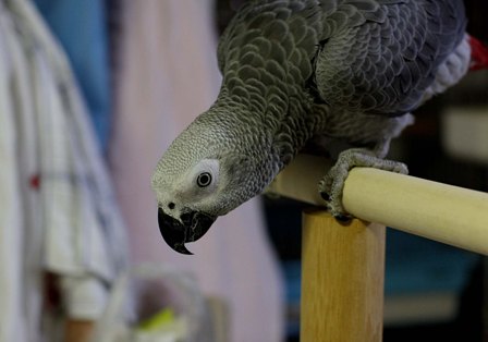 c0118496_845452.jpg