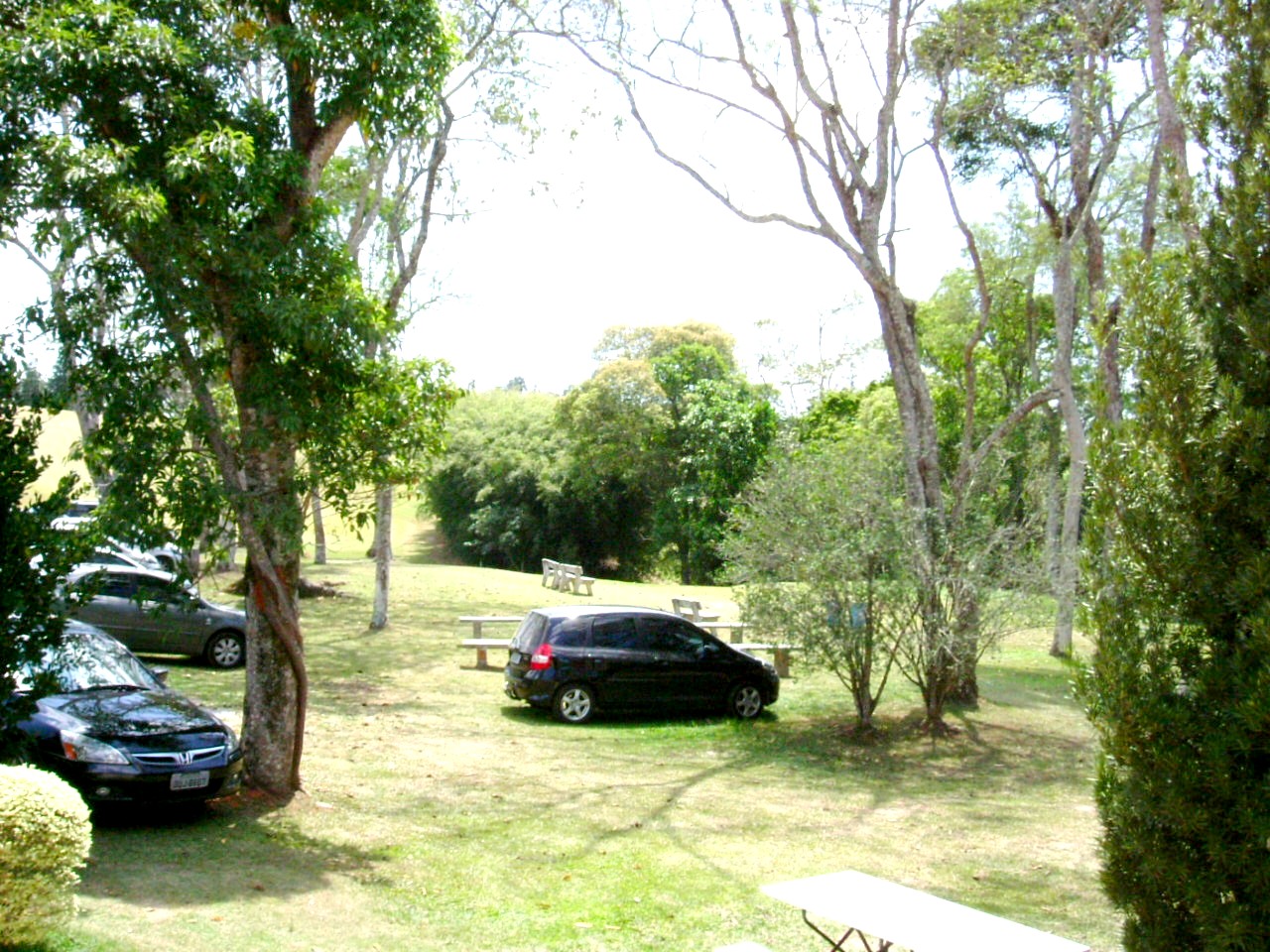 e0118096_16505322.jpg
