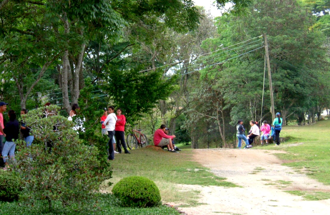 e0118096_637542.jpg