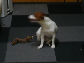 f0146198_23174256.jpg