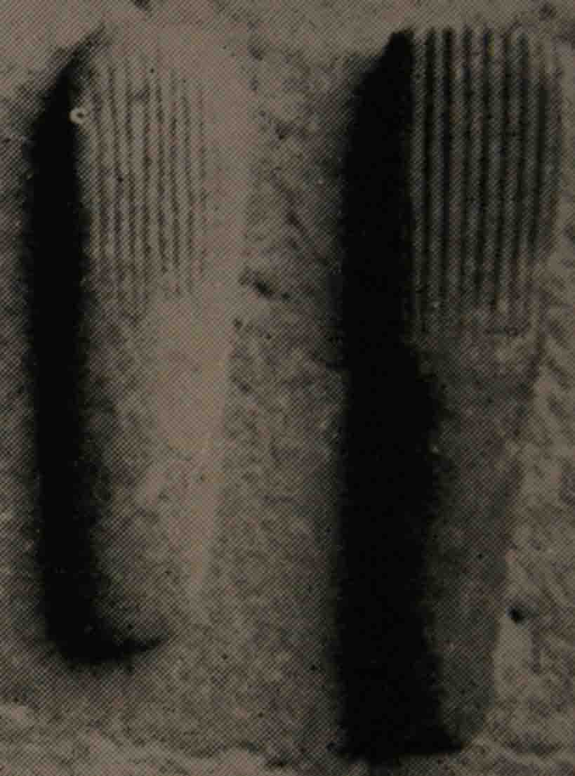f0148999_2214373.jpg