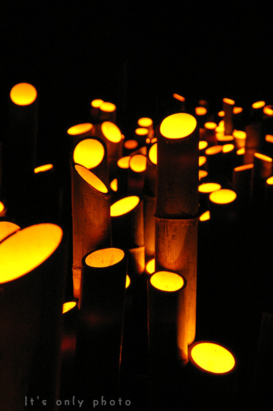 e0008800_23373361.jpg