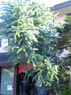 b0054602_1410346.jpg