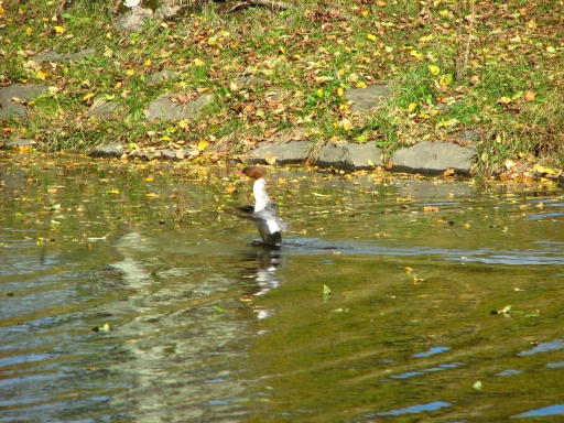 f0020302_21331090.jpg