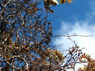 f0020302_21334027.jpg