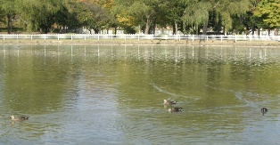 c0132205_19381639.jpg