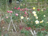 c0132205_19482371.jpg