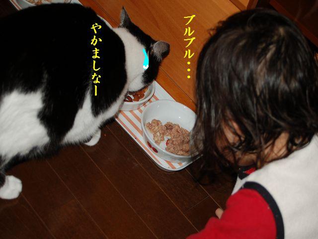 e0094407_1371973.jpg