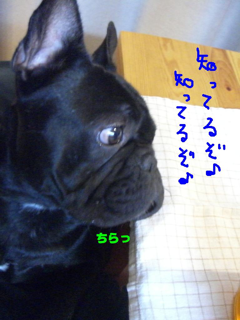 c0113109_21175821.jpg