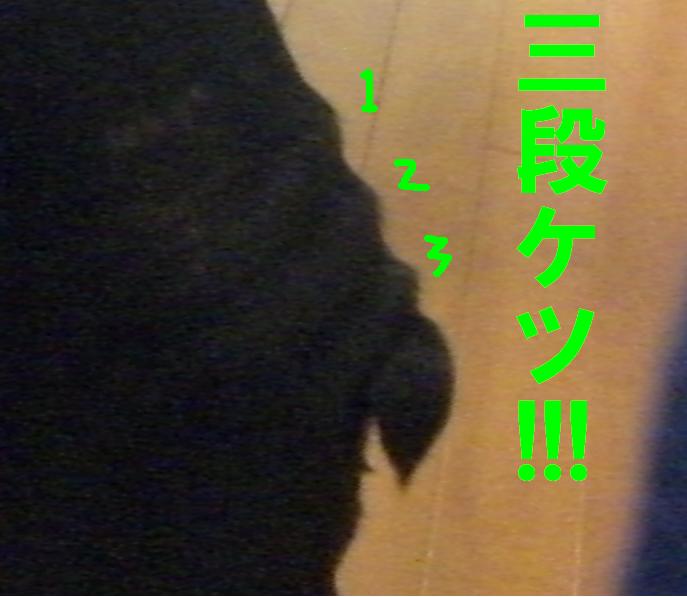 c0113109_21181475.jpg
