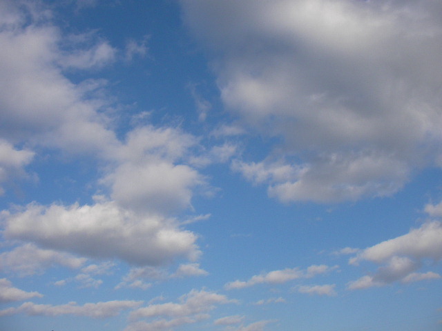 f0054610_9172362.jpg