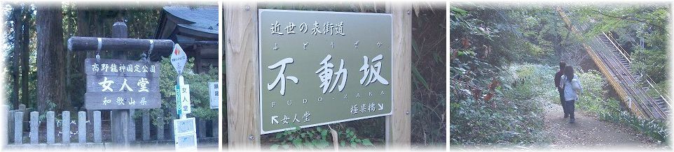 c0066514_23494431.jpg