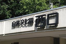 こんな小春日和の、穏やかな日は・・_c0116714_6342232.jpg