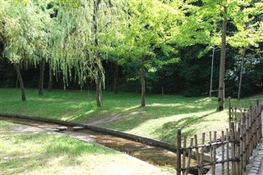 こんな小春日和の、穏やかな日は・・_c0116714_6502663.jpg