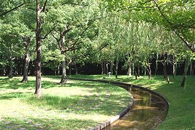 こんな小春日和の、穏やかな日は・・_c0116714_6505694.jpg