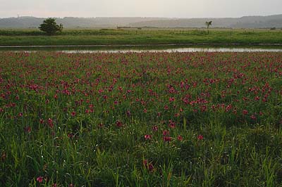 a0094015_1731029.jpg