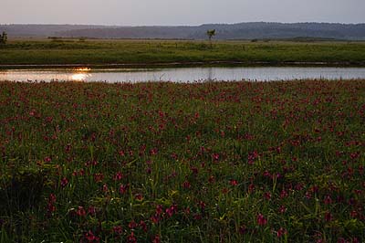 a0094015_185289.jpg