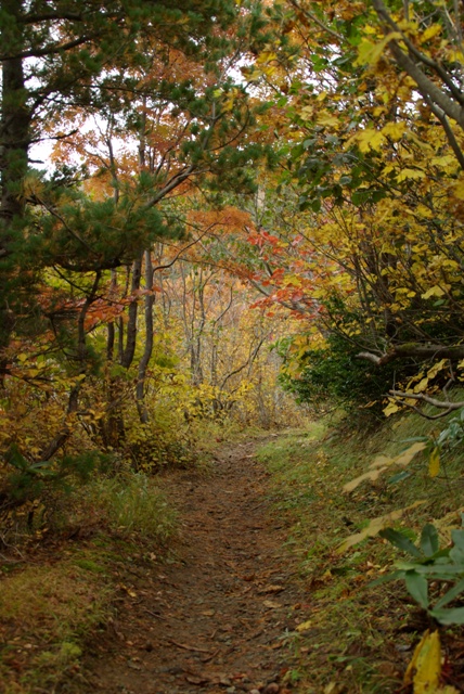 e0111217_0321817.jpg