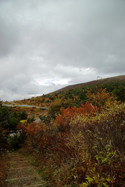 e0111217_036177.jpg