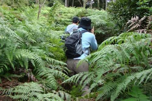 天平古道は山登りだった！_f0007926_2127432.jpg