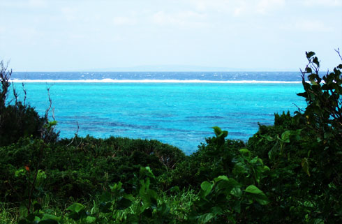 f0038727_20584678.jpg