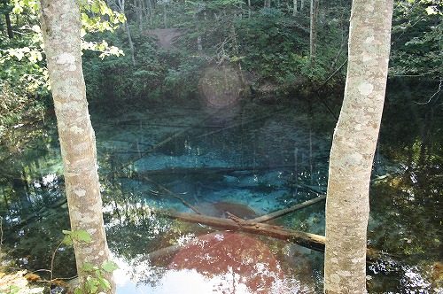 c0080731_9362451.jpg