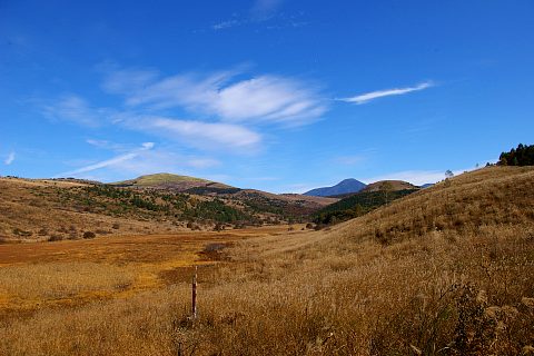 d0059441_21204065.jpg