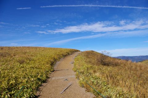 秋色の霧ヶ峰と池のくるみ湿原_d0059441_2181637.jpg