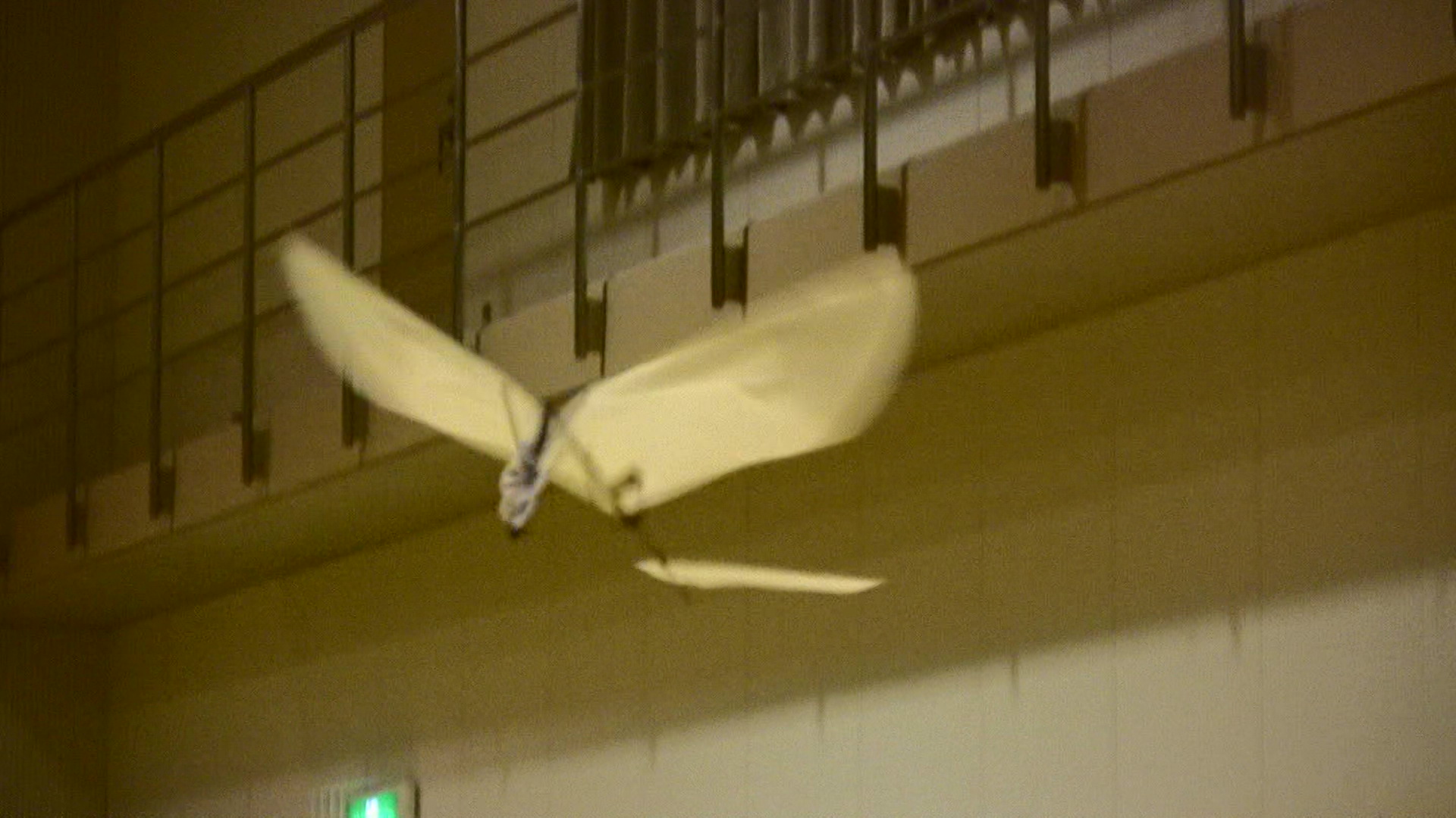 20071021 SSFC飛行会_d0067943_2265843.jpg
