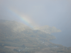 f0063944_14354651.gif