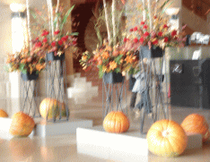 f0063944_14414284.gif
