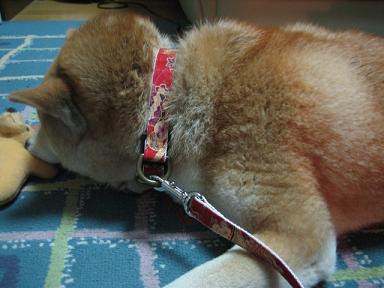 13歳_c0049950_04282.jpg