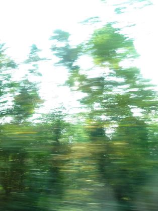 b0072051_19299.jpg