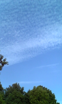 f0073958_15334481.jpg
