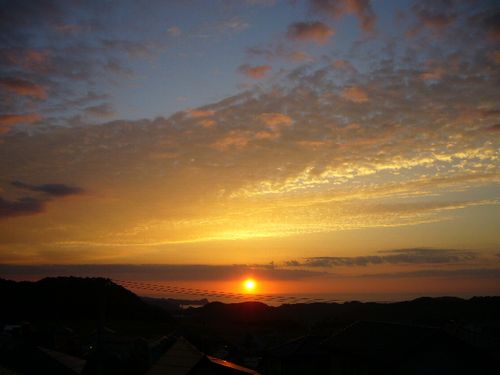 10月22日(月)勝浦の秋!_f0060461_20282455.jpg