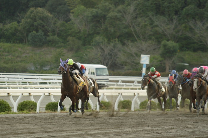 宮川実騎手、通算勝利500勝を達成！！_a0077663_18175216.jpg