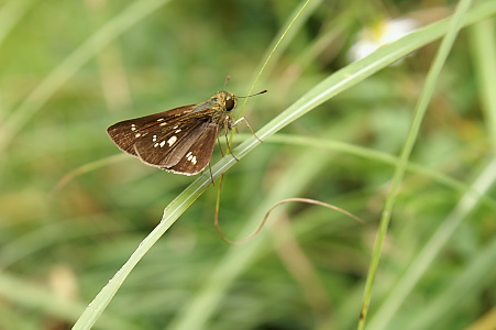 e0054067_77991.jpg