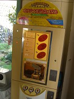 桐生が岡遊園地限定メダリーフ_b0004675_22171224.jpg