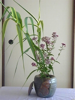 b0045281_6183591.jpg