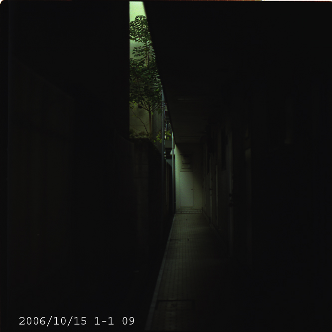 d0110584_10313867.jpg