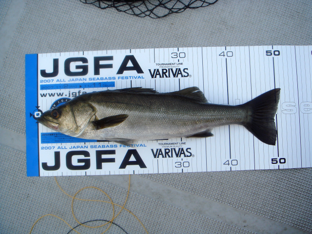 c0139388_12139.jpg