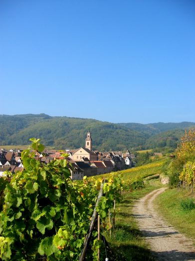 alsace,france 11:30am_b0073798_20145999.jpg