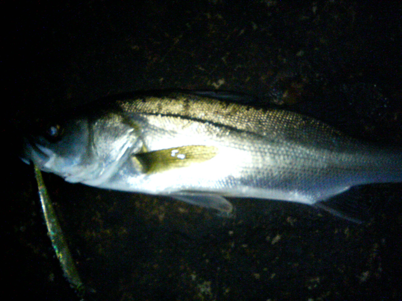 f0035404_22121021.jpg